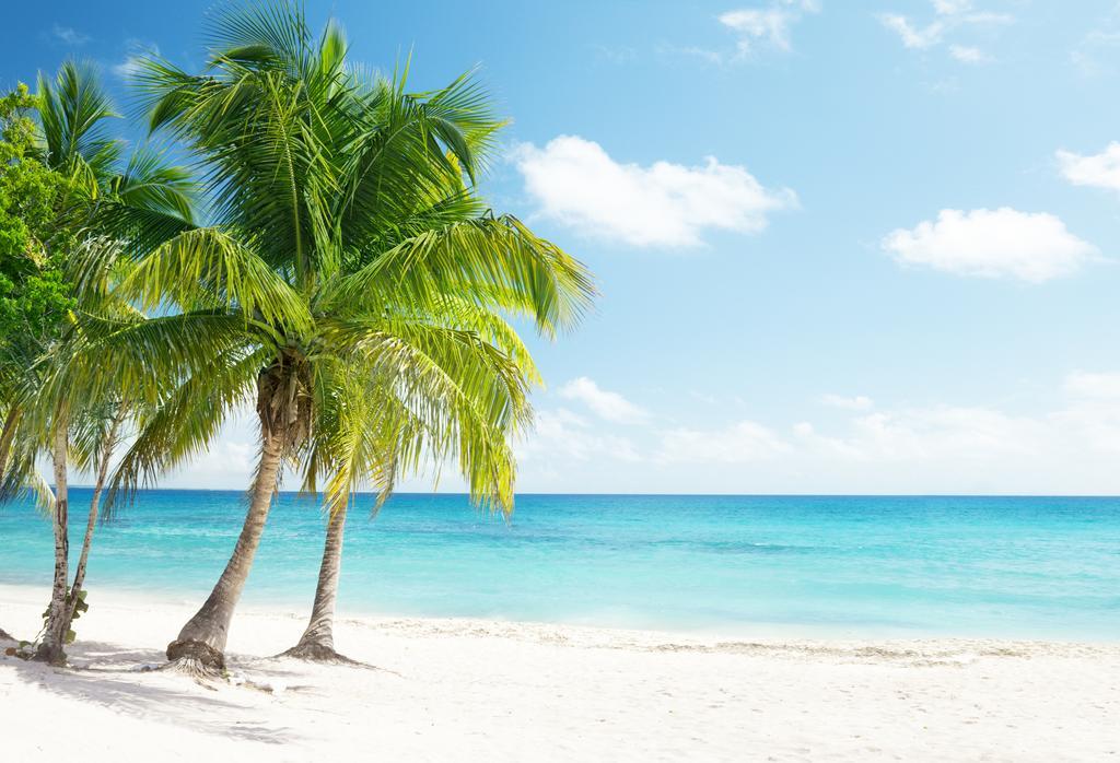 Dormio Bonaire Village Номер фото